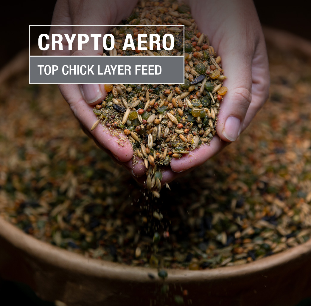 Crypto Aero Top Chick Layer | Crypto Aero