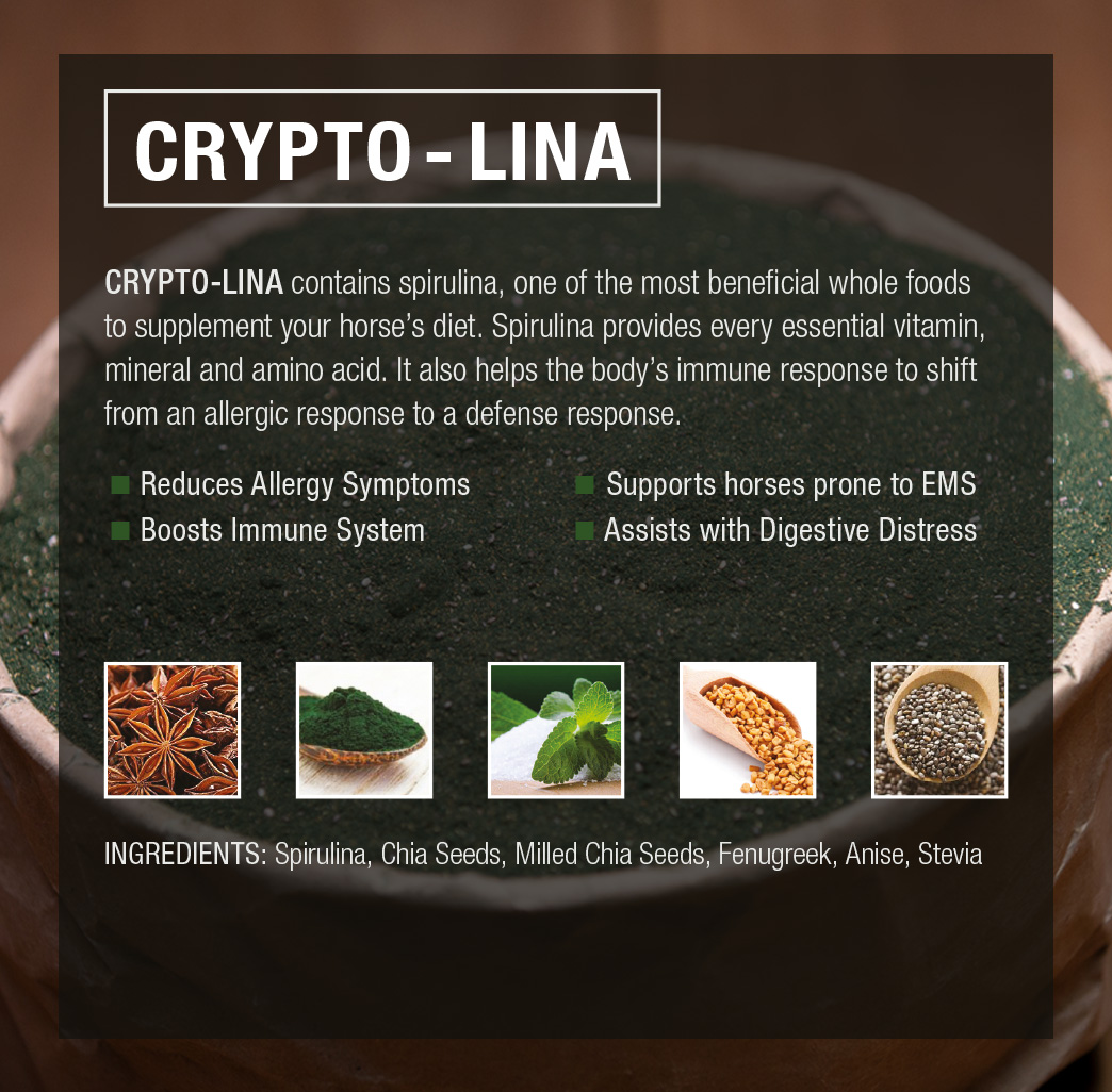 Crypto Lina | Crypto Aero