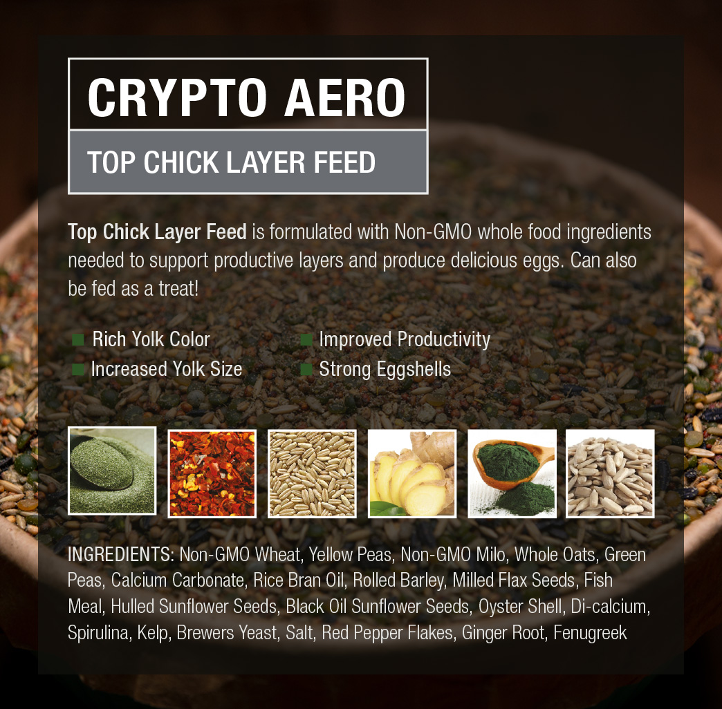 Crypto Aero Top Chick Layer | Crypto Aero