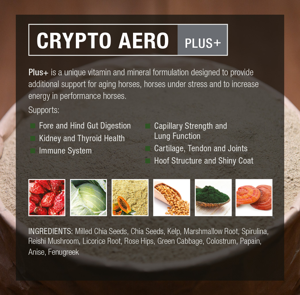 Crypto Aero Plus + | Crypto Aero