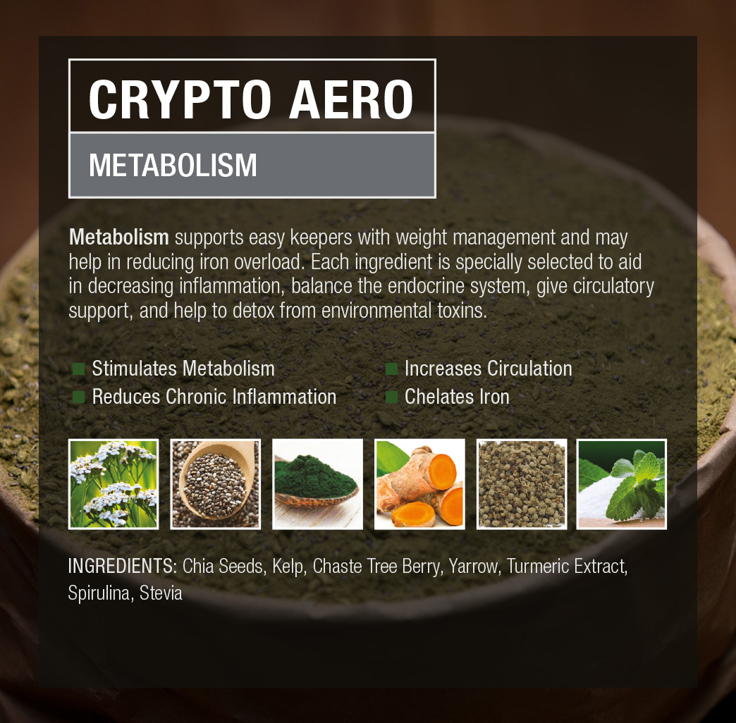 Crypto Aero Metabolism | Crypto Aero